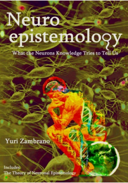 Neuroepistemology