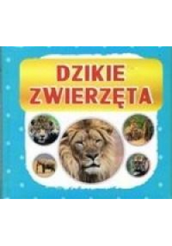 Harmonijka mała. Dzikie zwierzęta w.2018