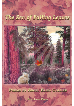 The Zen of Falling Leaves