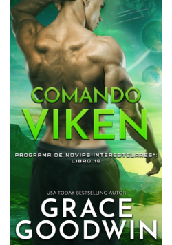 Comando Viken