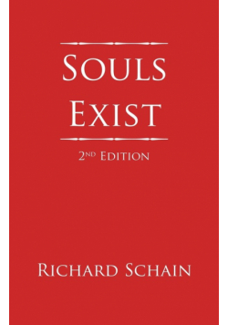 Souls Exist