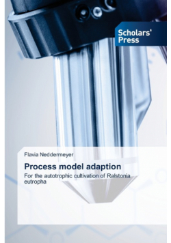 Process model adaption