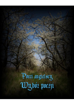 Poeci angielscy