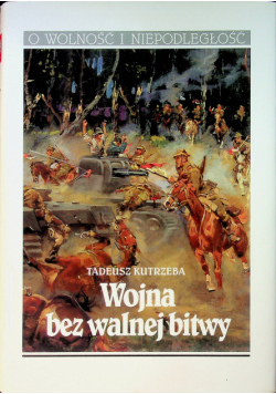Wojna bez walnej bitwy
