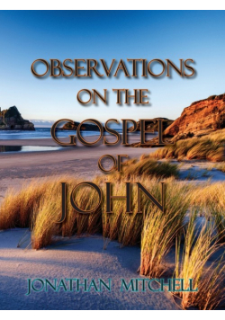 Observations on the Gospel of John