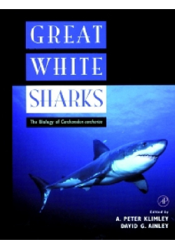 Great White Sharks