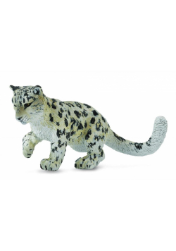Leopard młody śnieżny bawiący się