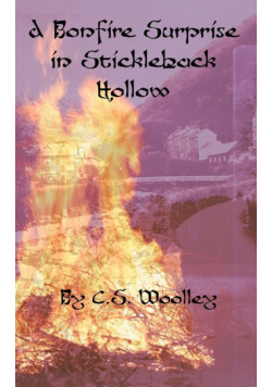 A Bonfire Surprise in Stickleback Hollow