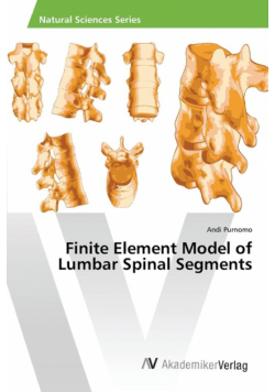 Finite Element Model of Lumbar Spinal Segments