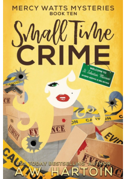 Small Time Crime