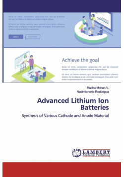 Advanced Lithium Ion Batteries
