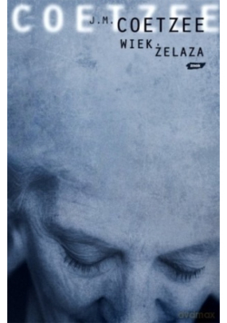 Wiek żelaza