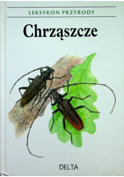 Chrząszcze