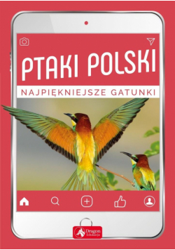 Ptaki Polski. Najpiękniejsze gatunki