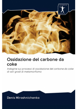 Ossidazione del carbone da coke