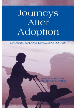 Journeys After Adoption