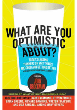 What Are You Optimistic About?