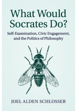 What Would Socrates Do?