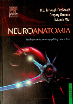 Neuroanatomia