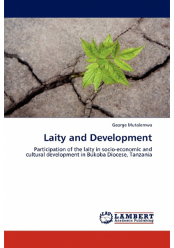Laity and Development