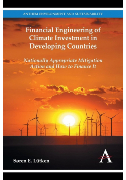 Financial Engineering of Climate Investment in Developing Countries
