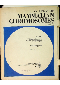 An atlas of mammalian chromosomes