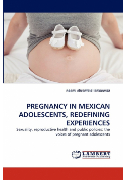 Pregnancy in Mexican Adolescents, Redefining Experiences