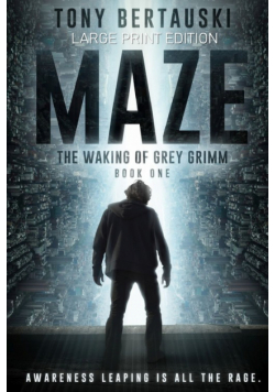 Maze (Large Print Edition)