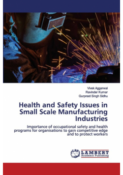 Health and Safety Issues in Small Scale Manufacturing Industries