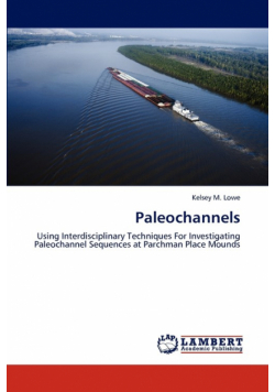Paleochannels