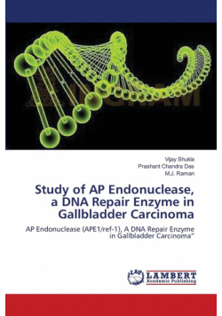 Study of AP Endonuclease, a DNA Repair Enzyme in Gallbladder Carcinoma