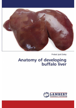 Anatomy of Developing Buffalo Liver