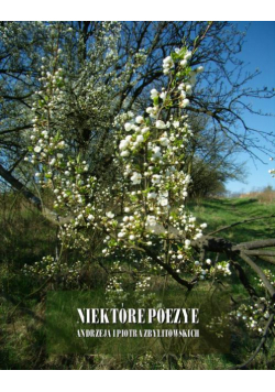 Niektóre poezye Andrzeja i Piotra Zbylitowskich
