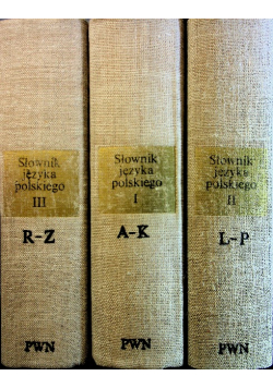 Słownik języka polskiego tom 1 do 3
