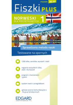 Norweski dla początkujących Fiszki PLUS