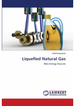 Liquefied Natural Gas