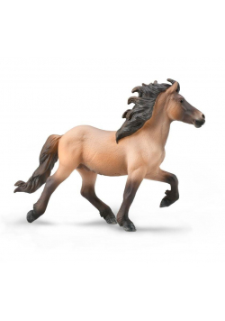 Icelandic Stallion Bay Dun