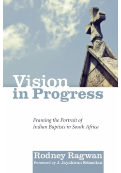Vision in Progress
