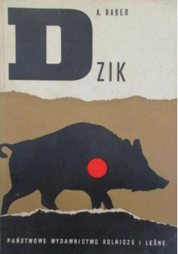 Dzik