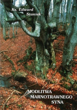 Modlitwa marnotrawnego syna
