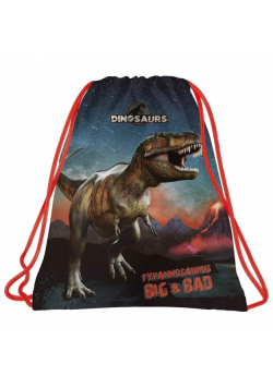 Worek na buty Dinozaur 17 DERFORM