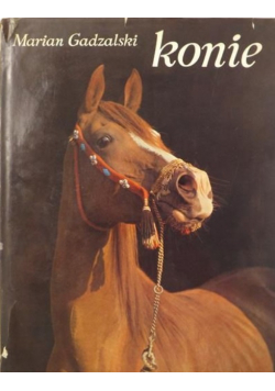 Gadzalski Konie