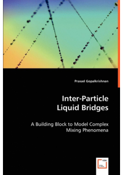 Inter-Particle Liquid Bridges - A Building Block to Model Complex Mixing Phenomena