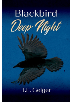 Blackbird Deep Night