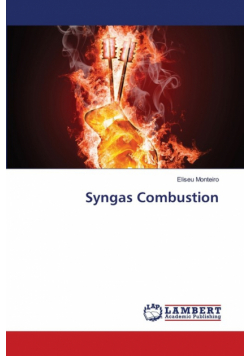Syngas Combustion