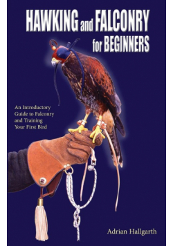 Hawking and Falconry for Begginers