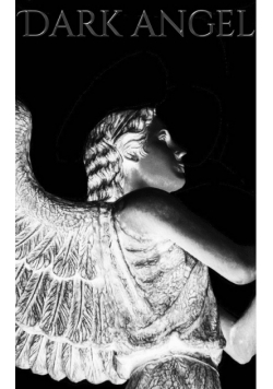 Dark Angel Writing Drawing Journal