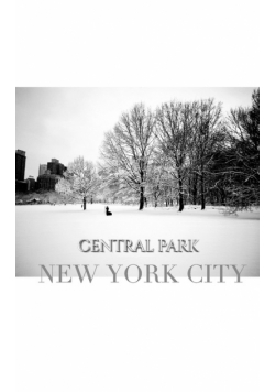 central park New York City Winter wonderland blank journal