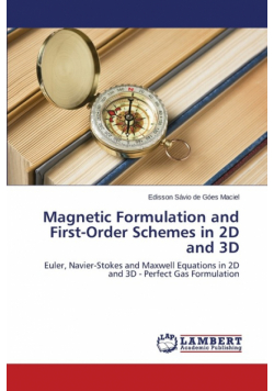 Magnetic Formulation and First-Order Schemes in 2D and 3D