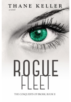 Rogue Fleet